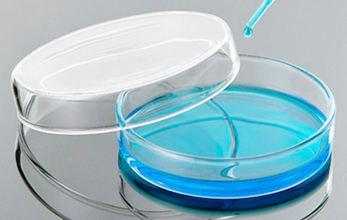 1740913719822165.jpg 002.jpg