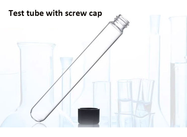 1740914805399162.jpg 英文版本.jpg