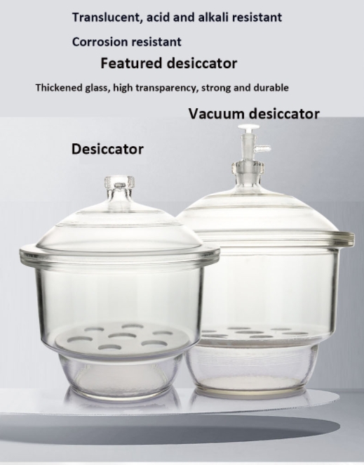 1741439743186628.jpg 2英.jpg