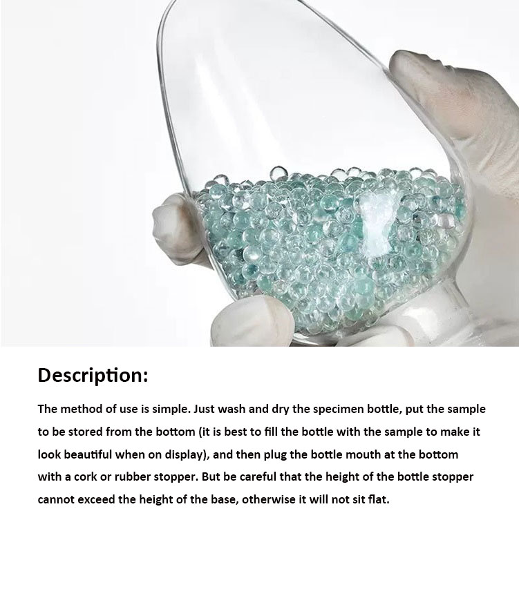 1743080043673361.jpg 1 (2)英.jpg