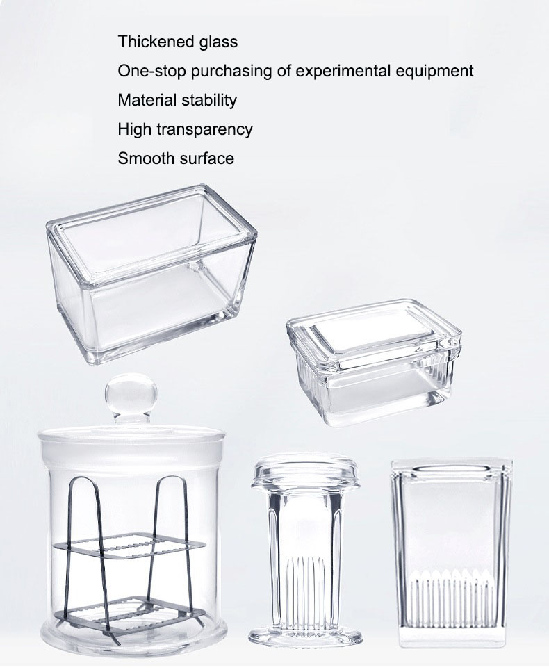 1743083085361983.jpg 1 英.jpg