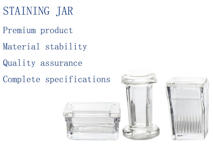 1743083450119847.jpg 1 英.jpg