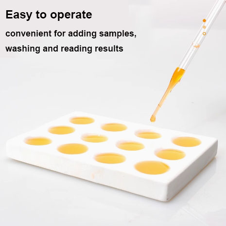 1743652920164510.jpg 5英.jpg