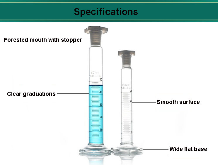 1744095075165199.jpg 1 英.jpg