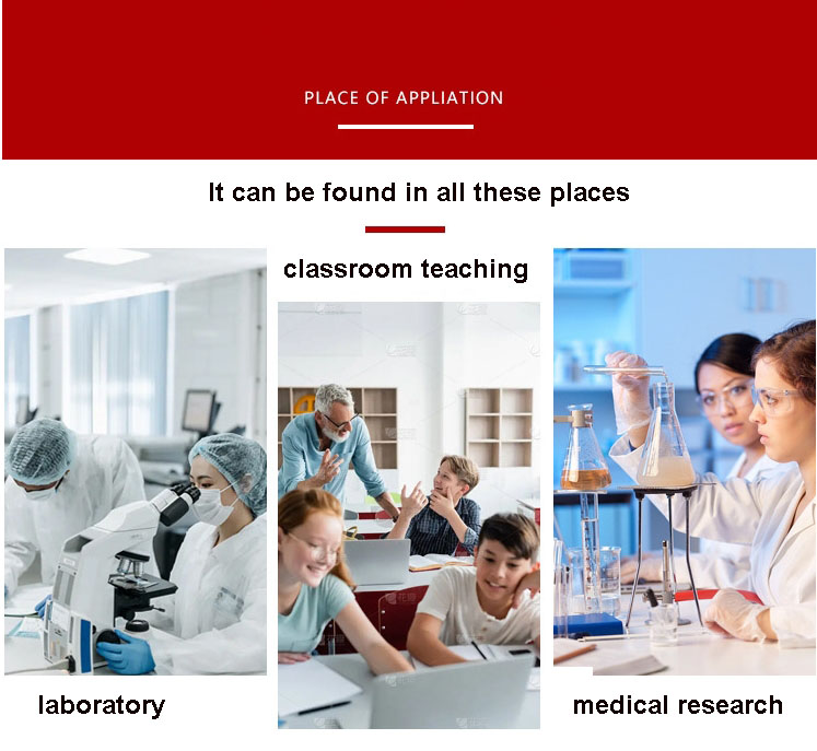 1745926244428596.jpg 5024英.jpg