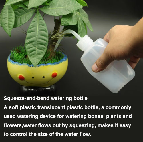 1747832017102712.jpg 1英.jpg