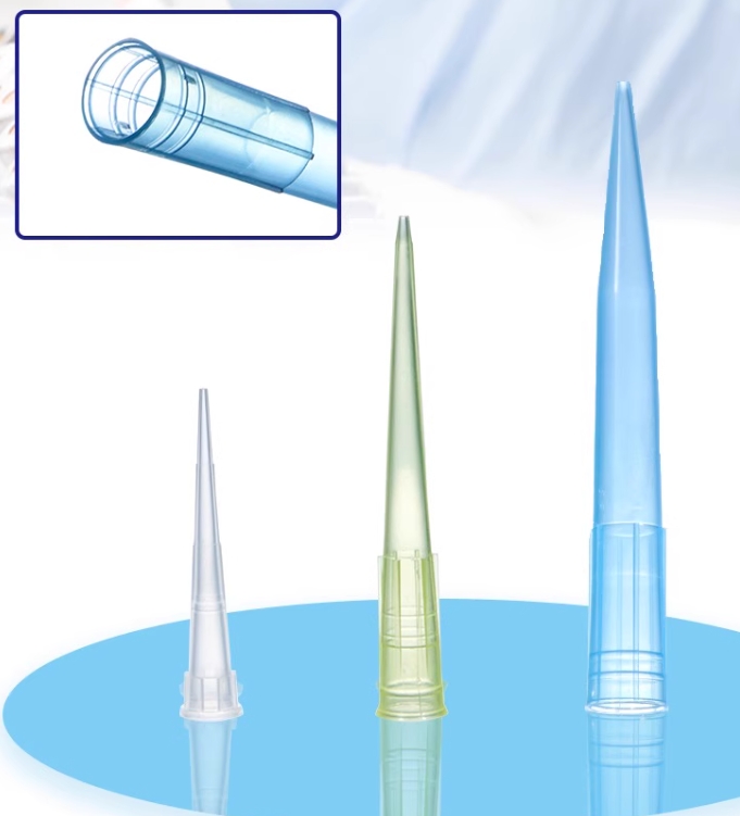 1748071042514229.jpg 6.jpg