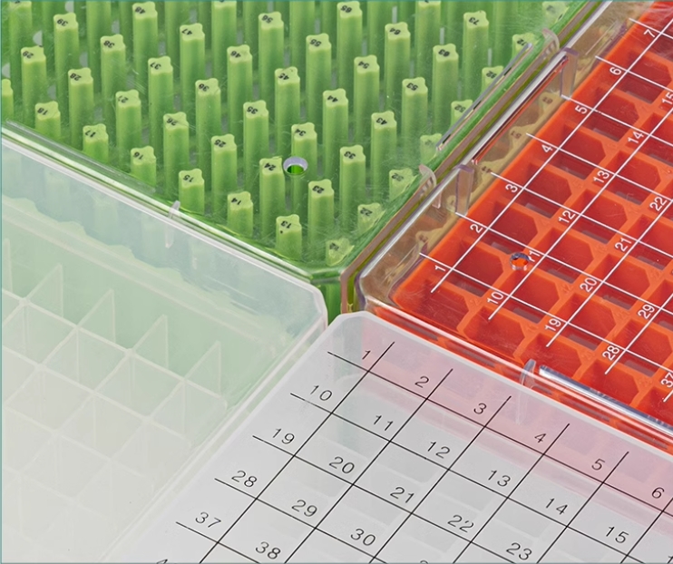 1749007611120992.jpg 1.jpg